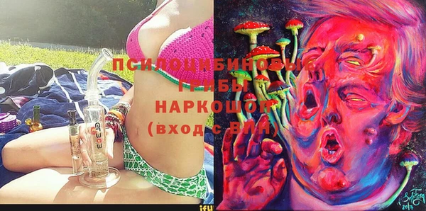 mdpv Белокуриха