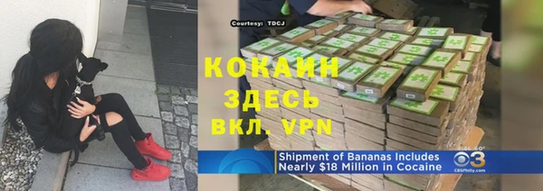 mdpv Белокуриха